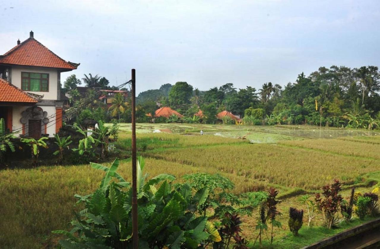 Candra Asri Bungalow Ubud Exterior foto